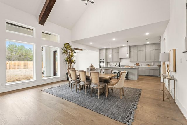 41702 Lays Court, Todd Mission, TX 77316