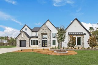 41702 Lays Court, Todd Mission, TX 77316