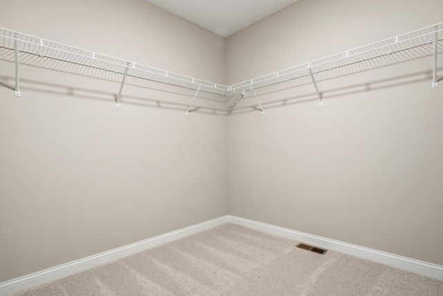 3966 Colts Reign Drive, Powell, OH 43065