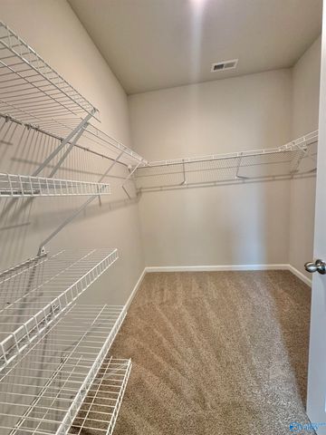128 Mary Caudle Way, Madison, AL 35756