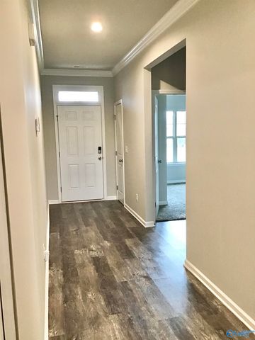 128 Mary Caudle Way, Madison, AL 35756
