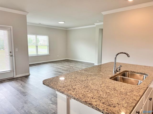 128 Mary Caudle Way, Madison, AL 35756