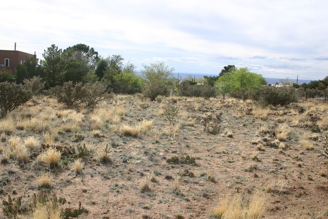 11301 Carmel Avenue NE, Albuquerque, NM 87122