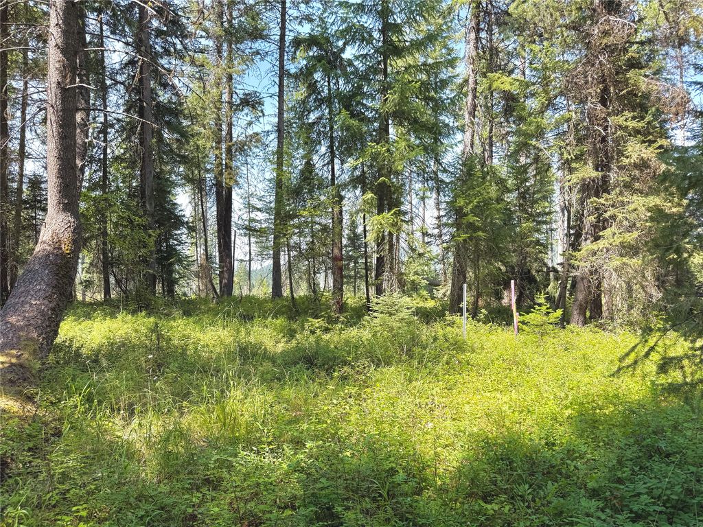 825 South Fork Road, Martin City, MT 59926 photo 1