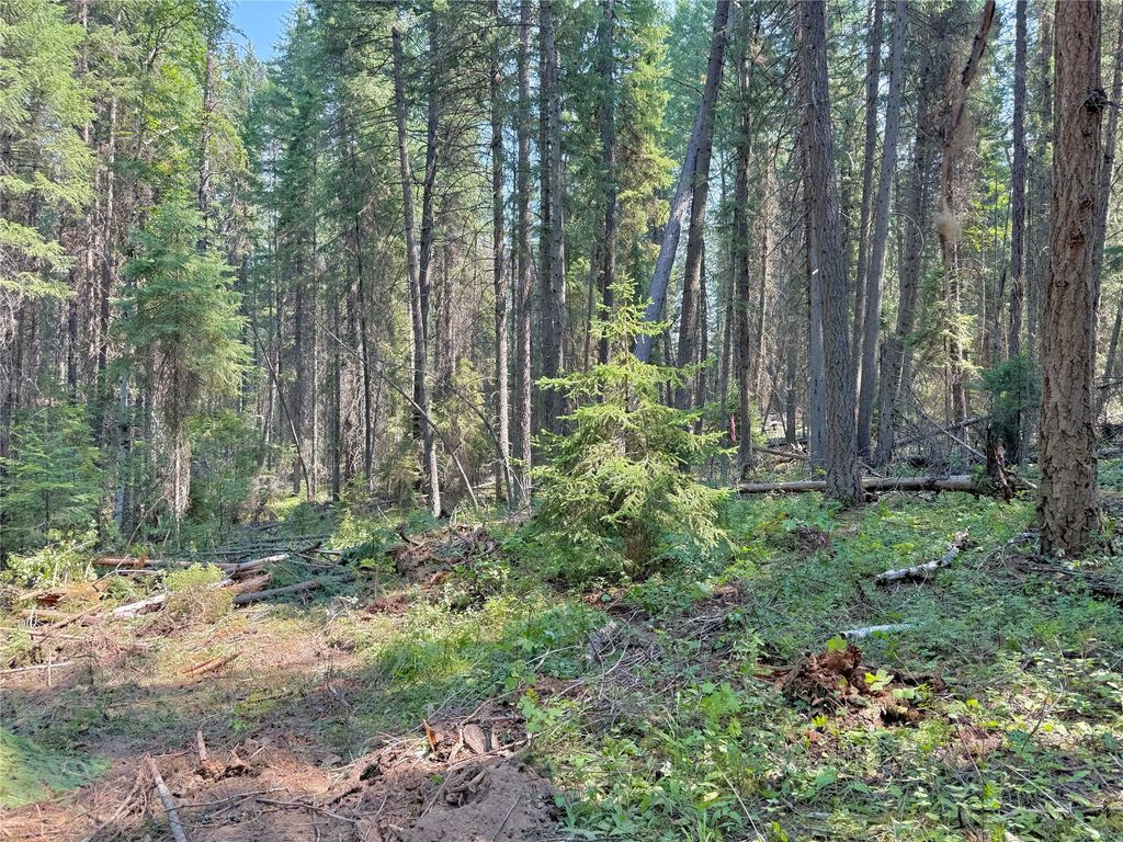 825 South Fork Road, Martin City, MT 59926 photo 2