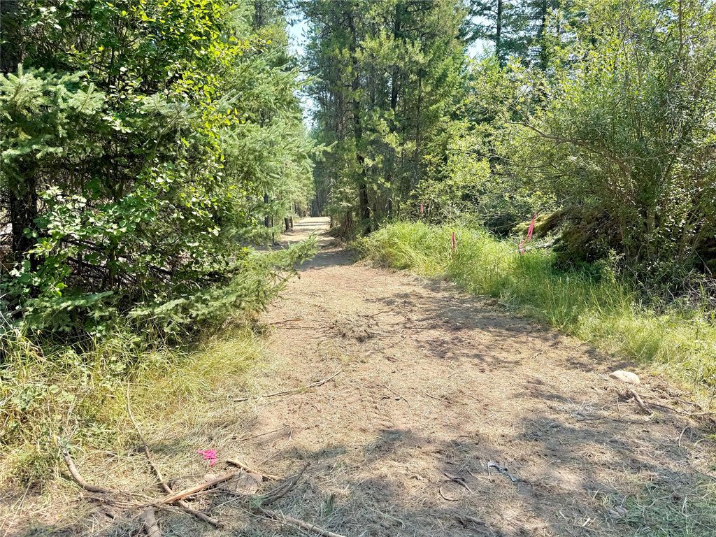 825 South Fork Road, Martin City, MT 59926 photo 3