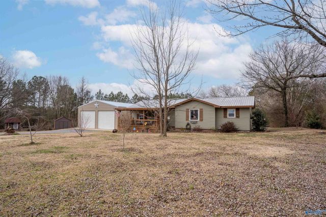 8801 County Road 19, Section, AL 35771