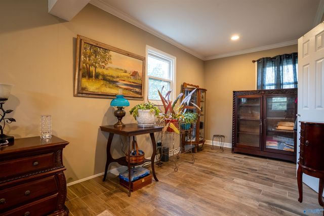 8801 County Road 19, Section, AL 35771