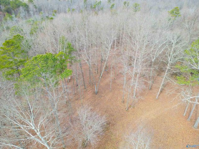 8801 County Road 19, Section, AL 35771