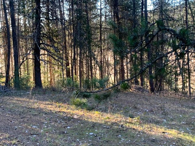 3xx Beaver Valley Rd, Newport, WA 99154