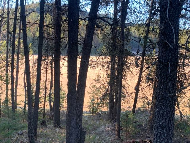 3xx Beaver Valley Rd, Newport, WA 99154