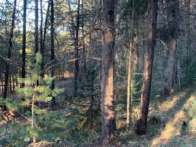 3xx Beaver Valley Rd, Newport, WA 99154