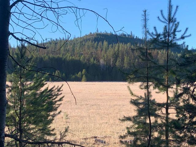 3xx Beaver Valley Rd, Newport, WA 99154