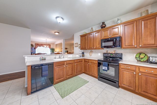 25635 Sago Palm, San Antonio, TX 78261