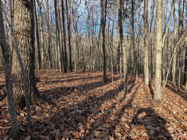 Lot 20 Wilderness Creek Way, Murphy, NC 28906
