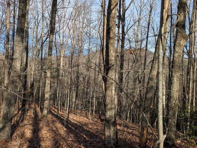 Lot 20 Wilderness Creek Way, Murphy, NC 28906