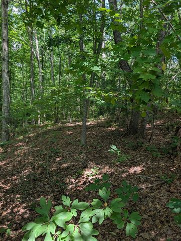 Lot 20 Wilderness Creek Way, Murphy, NC 28906