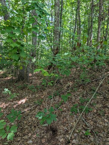 Lot 20 Wilderness Creek Way, Murphy, NC 28906