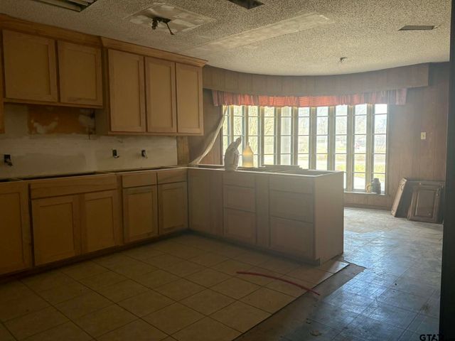 201 PARKVIEW, Pittsburg, TX 75686