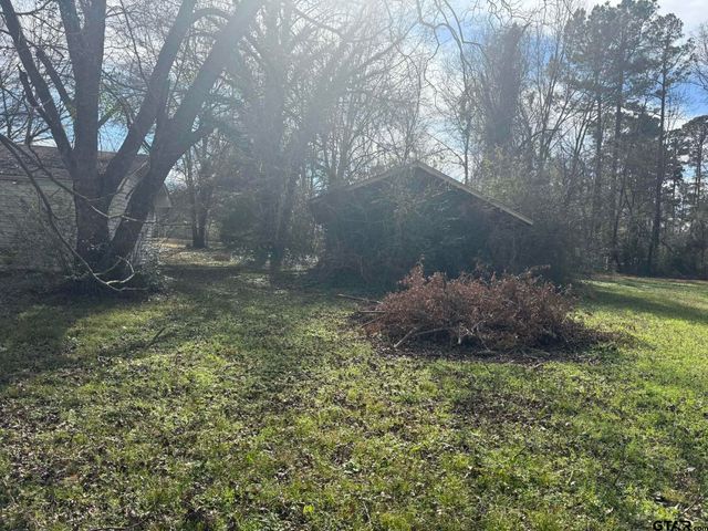 201 PARKVIEW, Pittsburg, TX 75686