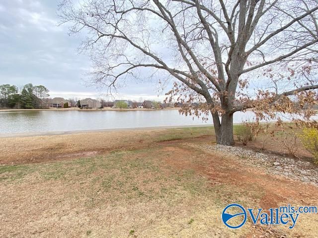 275 Old Overton Drive, Madison, AL 35756