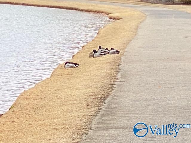 275 Old Overton Drive, Madison, AL 35756