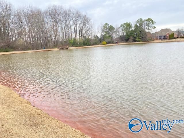 275 Old Overton Drive, Madison, AL 35756