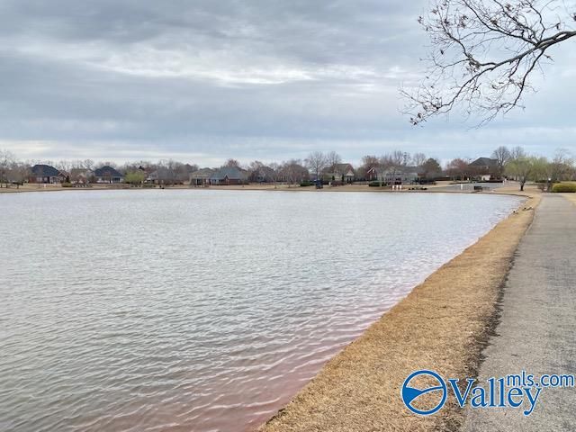 275 Old Overton Drive, Madison, AL 35756