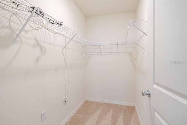 10945 TRAILING VINE DRIVE, Tampa, FL 33610