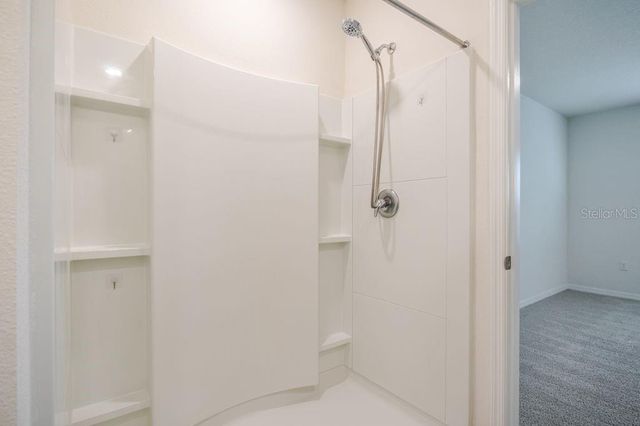 10945 TRAILING VINE DRIVE, Tampa, FL 33610