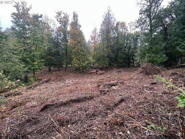 9631 Nw SKYLINE Blvd, Portland, OR 97231