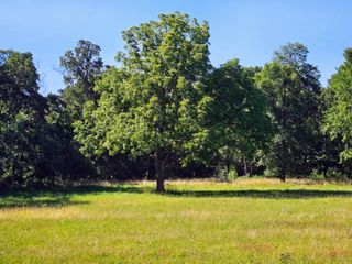 2586 East Theran Avenue, (Ph 1, Lot 14), Springfield, MO 65803