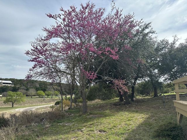 185 Cougar Park Rd, Hunt, TX 78024