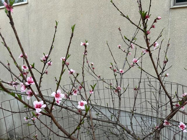 185 Cougar Park Rd, Hunt, TX 78024