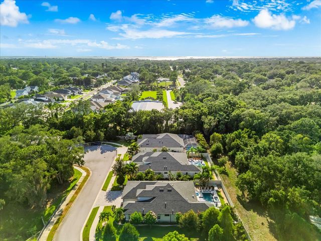 2013 BEE BRANCH COURT, Palm Harbor, FL 34683