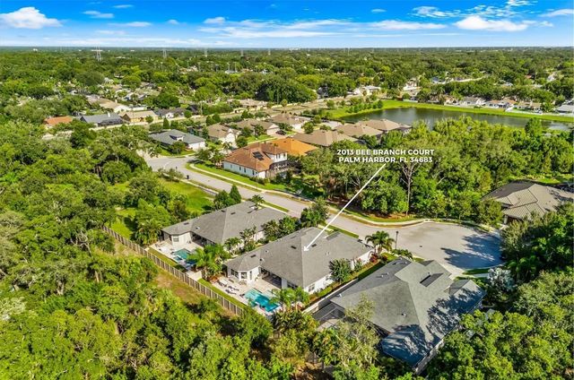 2013 BEE BRANCH COURT, Palm Harbor, FL 34683