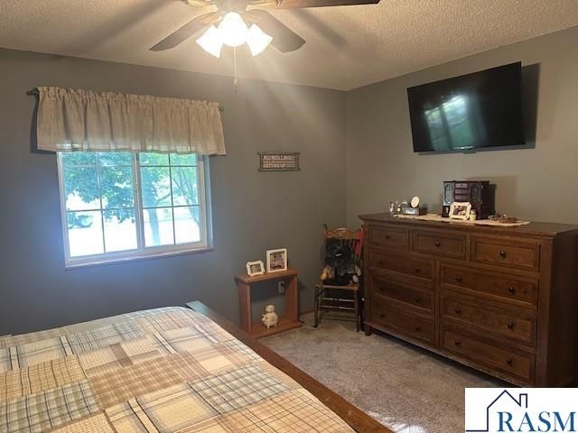502 N Minnesota Avenue, St. Peter, MN 56082