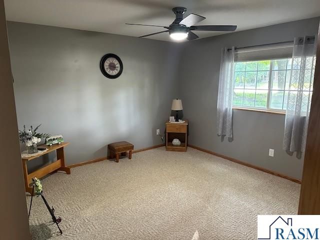 502 N Minnesota Avenue, St. Peter, MN 56082
