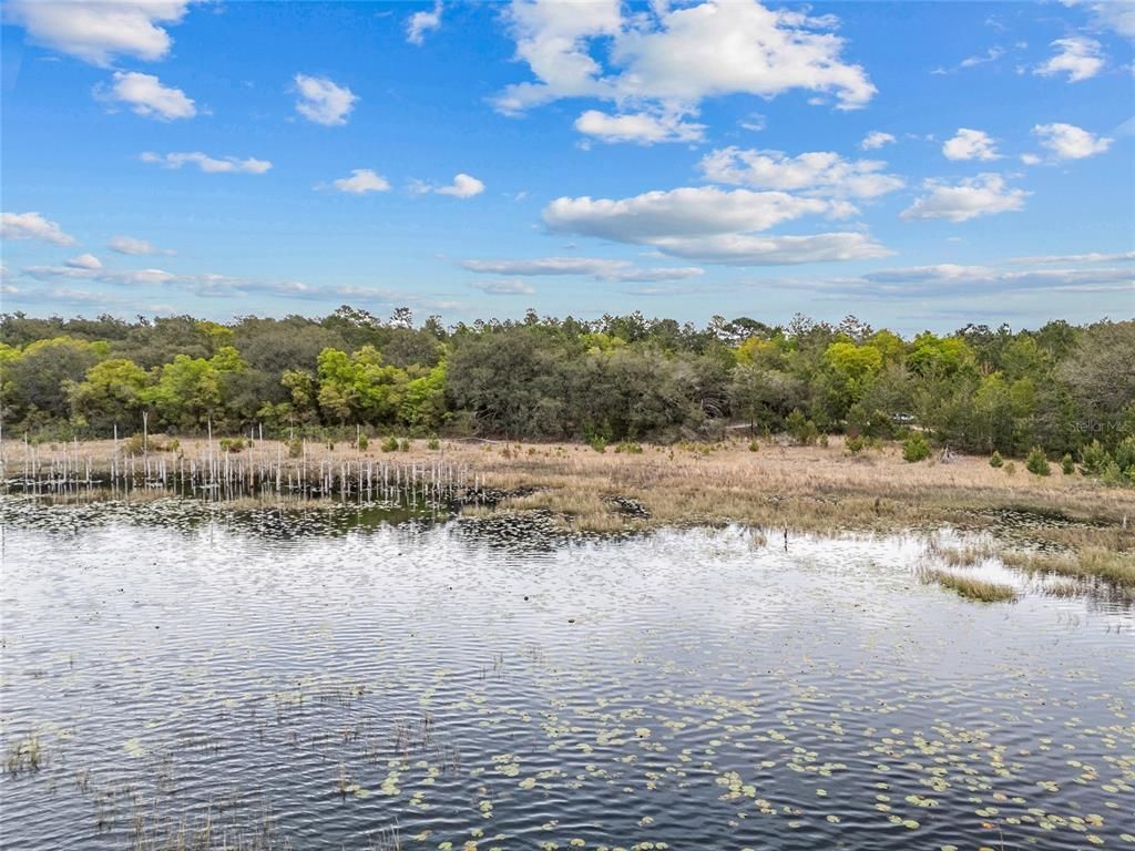 Image 1 of property listing at TBD N COUNTY ROAD 315, Melrose, FL 32666