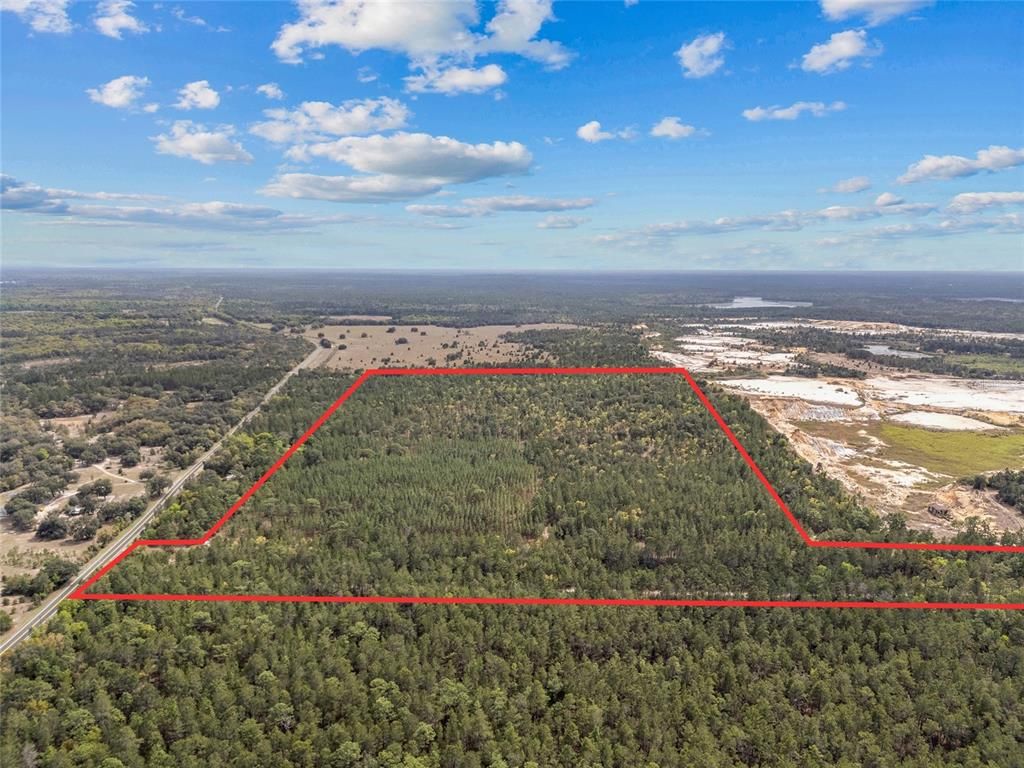 Image 16 of property listing at TBD N COUNTY ROAD 315, Melrose, FL 32666