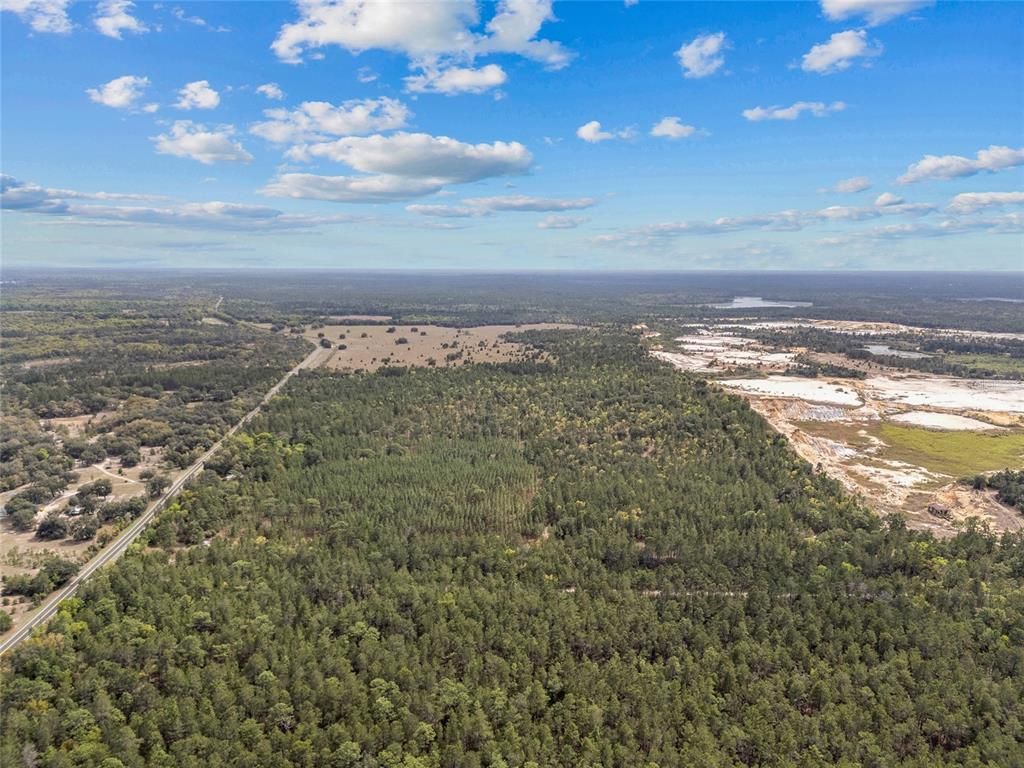 Image 17 of property listing at TBD N COUNTY ROAD 315, Melrose, FL 32666
