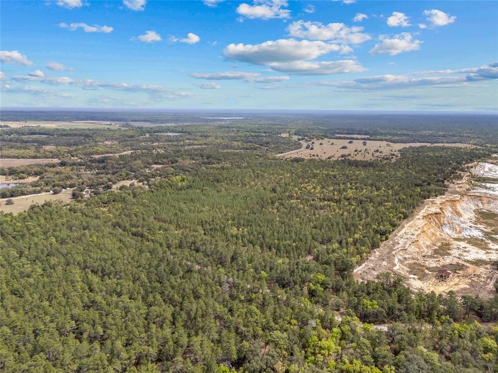 Image 19 of property listing at TBD N COUNTY ROAD 315, Melrose, FL 32666