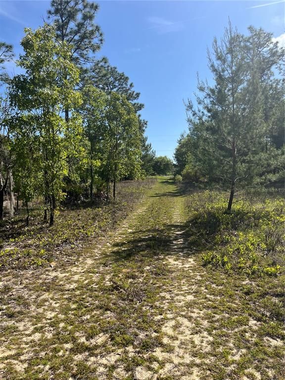 Image 2 of property listing at TBD N COUNTY ROAD 315, Melrose, FL 32666