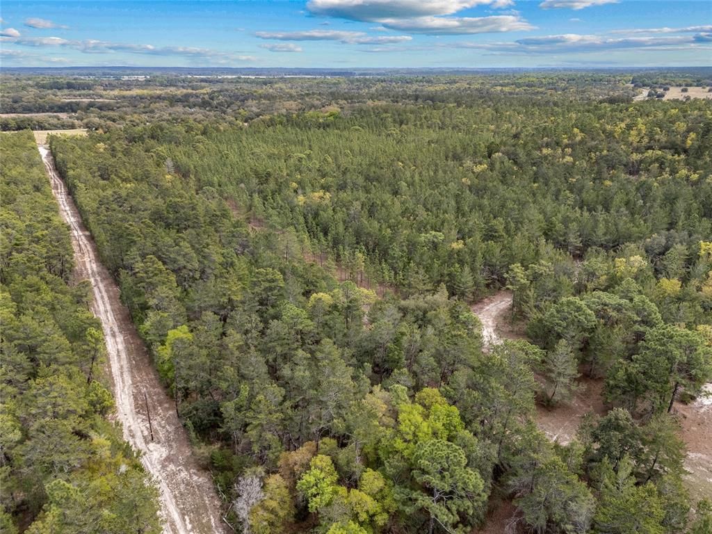 Image 20 of property listing at TBD N COUNTY ROAD 315, Melrose, FL 32666
