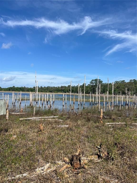 Image 3 of property listing at TBD N COUNTY ROAD 315, Melrose, FL 32666