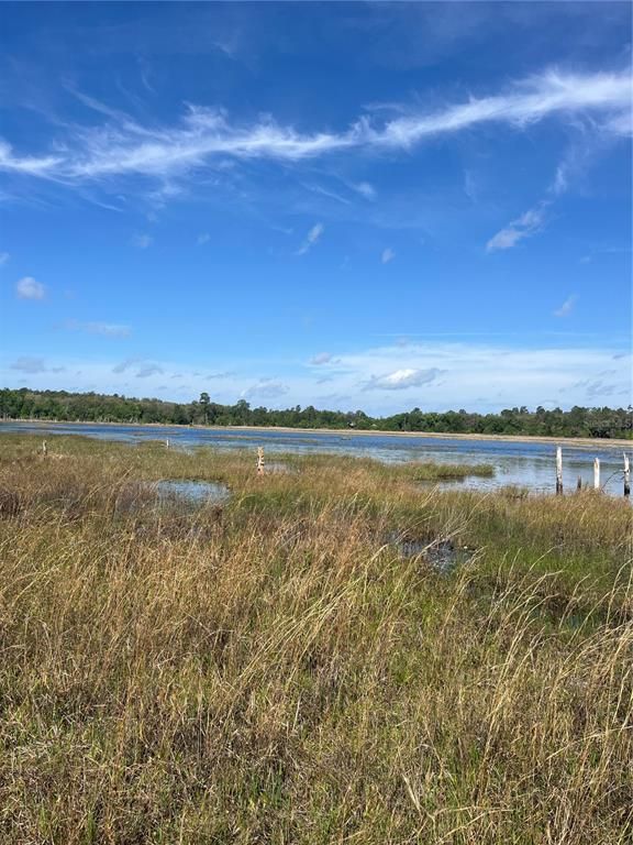 Image 4 of property listing at TBD N COUNTY ROAD 315, Melrose, FL 32666