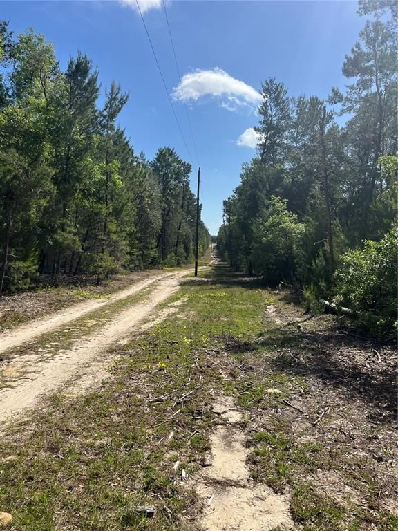 Image 5 of property listing at TBD N COUNTY ROAD 315, Melrose, FL 32666