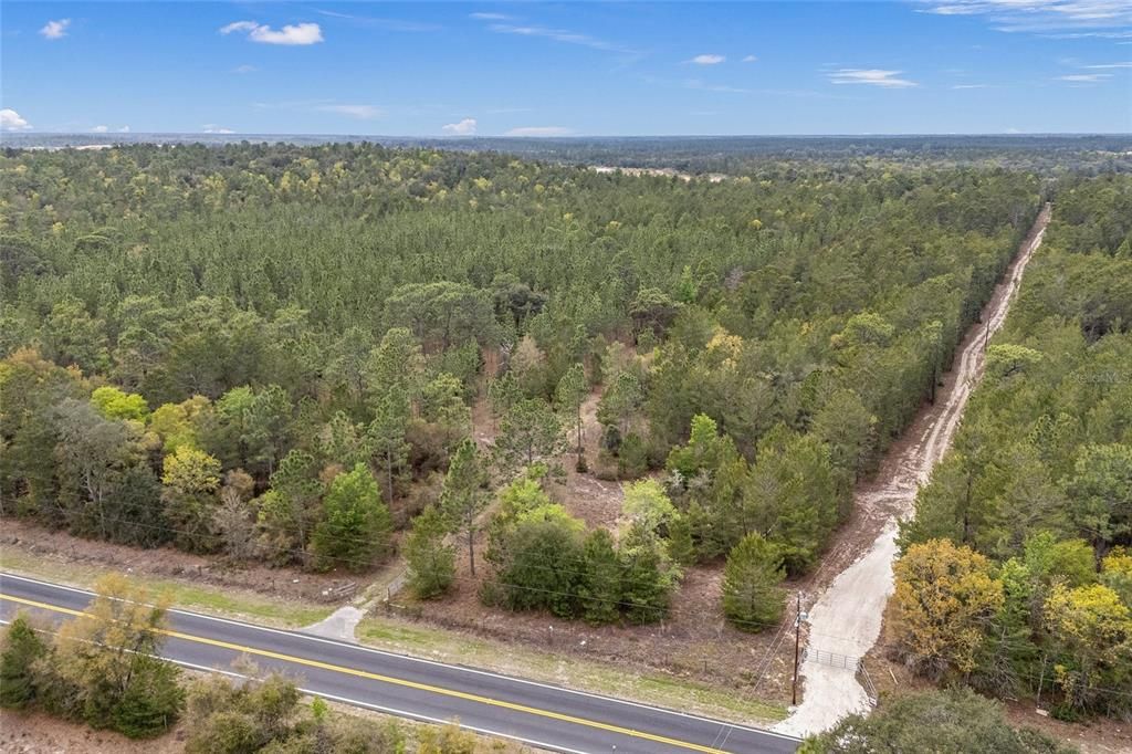 Image 7 of property listing at TBD N COUNTY ROAD 315, Melrose, FL 32666