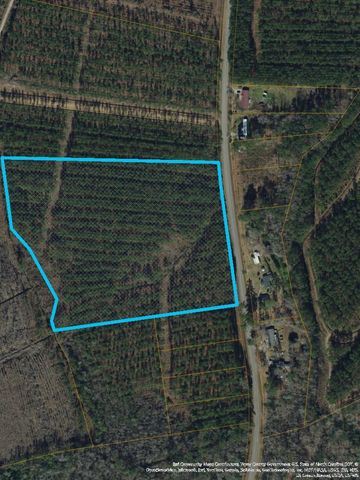 Tract B Highway 66, Loris, SC 29569