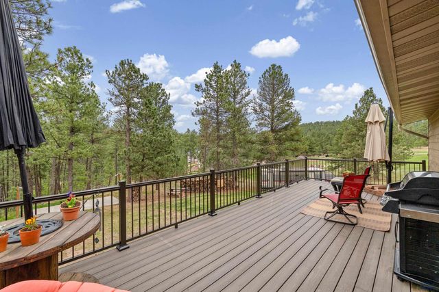 24568 SADDLEBACK DR, Hermosa, SD 57744